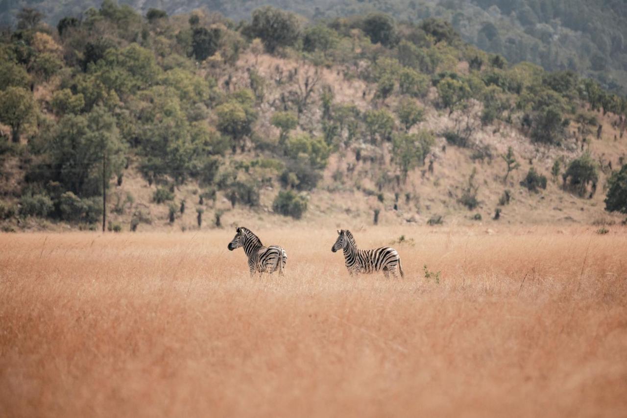 Dawsons Game Lodge Badplaas Kültér fotó