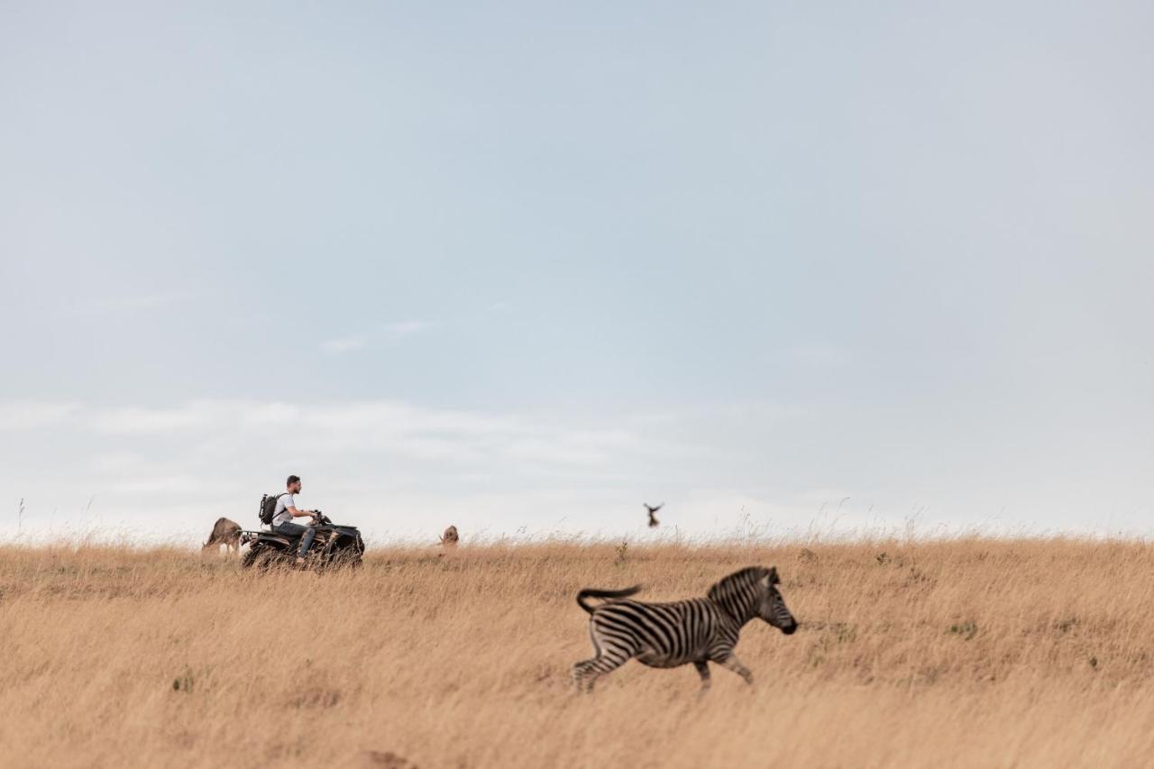 Dawsons Game Lodge Badplaas Kültér fotó